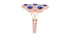 Bague en or rose 18carats saphir et diamants